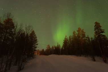 Beautiful green northern lights behind a snowed coniferous forest. Vibrant shades of green, blue, and pink The aurora borealis appears to be dancing in the sky, illuminating the snow-laden forest with its magical glow. The image is breathtaking and e
