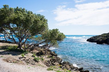 Kadavra 'daki manzara çok güzel, Gerona. Akdeniz ve çam ağacı