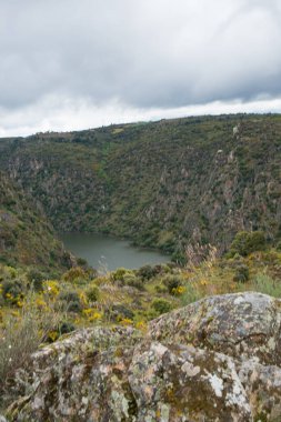 Asomadero los Regatos 'un bakış açısından Arribes del Duero. Fermoselle, Zamora, İspanya