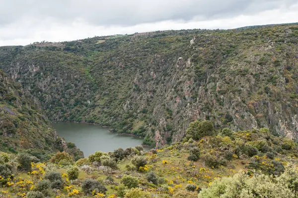 Asomadero los Regatos 'un bakış açısından Arribes del Duero. Fermoselle, Zamora, İspanya