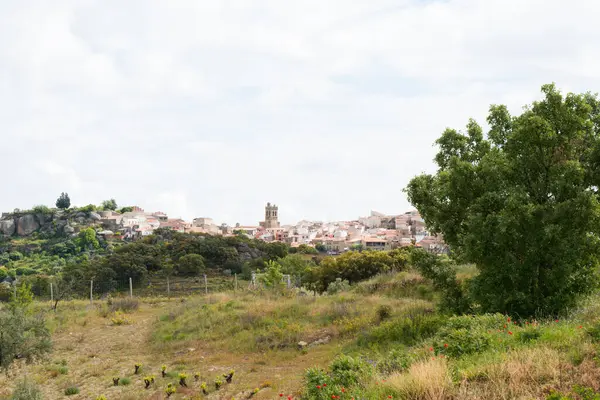 Uzaktan Fermoselle 'in görüntüsü. Zamora, İspanya. Kastilya ve Leon 'daki en büyük doğal park Duero del Duero Doğal Parkı' dır ve Duero ile Tormes 'in kesiştiği yerdedir..