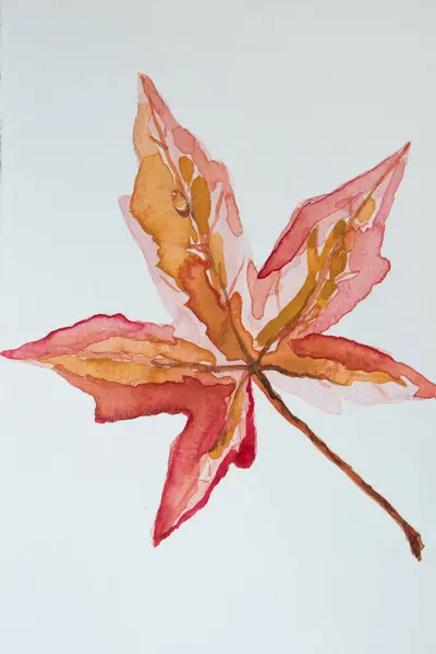 Suluboya. Renkli akçaağaç yaprağı tasviri. Beyaz arkaplan