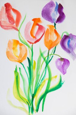 Suluboya. Lalelerle dolu renkli bir ilüstrasyon. Beyaz arkaplan