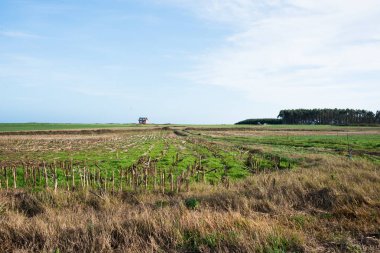 Kuş uçmaz kervan geçmez bir çiftlik evi. İspanya 'nın kuzeyindeki kırsal kesimde.