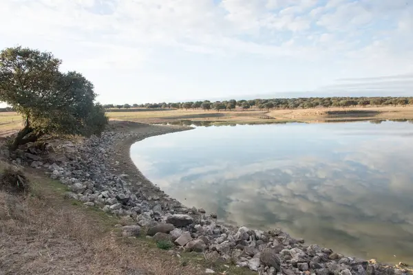 Extremadura 'da huzurlu bir manzara, suya yakın bir ağaç. Suyu yansıtan bulutlar.