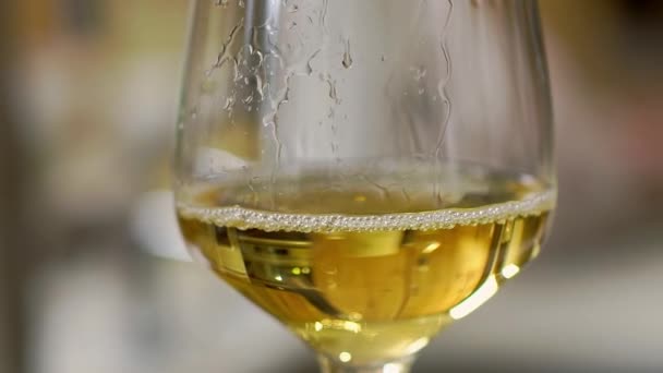 玻璃杯 带有新鲜的闪光的葡萄酒和小气泡在模糊的背景 庆祝特写时准备好供饮用的美味饮料 — 图库视频影像