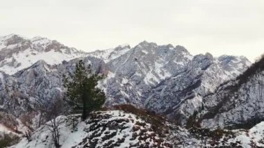 Lonely evergreen tree grows on snowy hill against rocky peaks of Caucasus mountains. Wild nature in highland on cold winter day aerial view