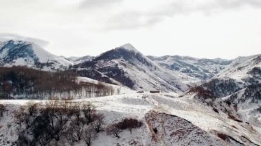 Trees with bare branches grow on snowy slopes and hills on cold winter day. Scenic landscape of Caucasus mountain pass aerial view