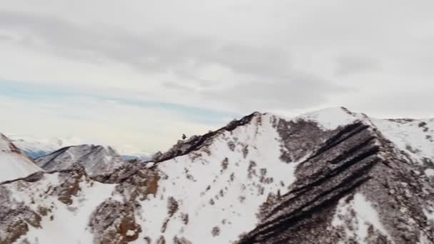 Wild Bird Flies Rocky Peaks Caucasus Mountains Covered White Snow — Wideo stockowe