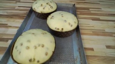 Kuru üzümle zenginleştirilmiş tatlı hamur. Fırın pişirmek için tepside tek kullanımlık kağıt şeklinde. Paskalyayı kutlamak için geleneksel pasta pişirme