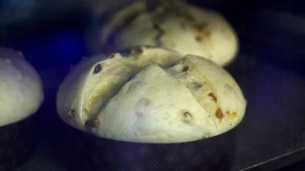 Pasteles Pascua Con Cortes Forma Cruz Hornear Horno Panadería Pastelería — Vídeos de Stock