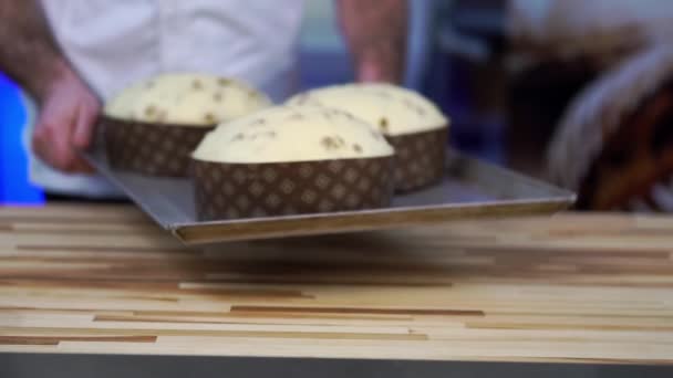 Easter Cakes Disposable Paper Forms Male Baker Puts Metal Tray — Stock Video