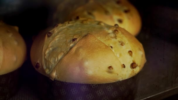 Paskalya Pastaları Fırında Pişirilir Üzerinde Haç Şeklinde Dekoratif Kesimler Olan — Stok video