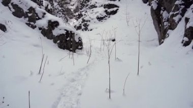 Bulutlu gökyüzünün altında, dağlık bölgede dev kayalık oluşumların yakınında, beyaz karda yetişen kuru çimenler. Soğuk kış gününde Kafkasya dağlarında vahşi doğa