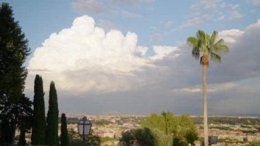 Büyük turistik şehirde, parlak güneşin aydınlattığı beyaz bulutlara karşı yapayalnız bir palmiye. Yeşil bitkiler ve dekorasyonlu bir tesis.