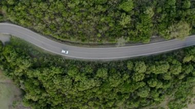 Beyaz araba, alçak tepedeki yemyeşil ağaçların yanından yavaşça geçer. Otomobil virajlı yoldan köye doğru gidiyor. Yolcular dağlık arazinin tadını çıkarıyorlar