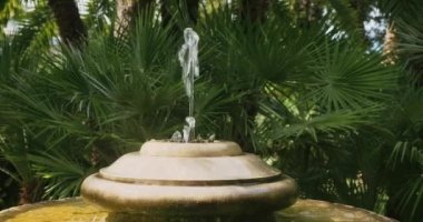 Sorrento parkındaki palmiye ağaçlarına dökülen ince su kaynağı. Güney İtalya 'da parkta bitkilerle çevrili eski bir çeşme.