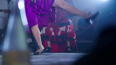 Mor gitana kıyafetli bir kadın kulüp sahnesinde flamenko dansı yapıyor. Geleneksel elbiseli sanatçı kadın festivalde etek sallıyor.