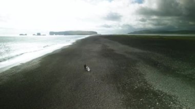 Beyaz elbiseli gelin ve damat yoğun bulutların altında kıyıda yürüyor. Mutlu yeni evliler İzlanda 'da barışçıl doğa atmosferinin tadını çıkarıyorlar.