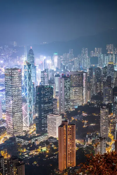 stock image Hong Kong Architectural Landscape skyline night view