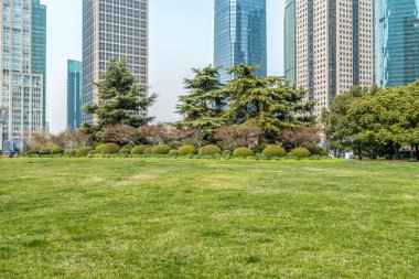 Şangay Lujiazui Mali Büro Binası