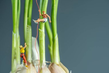 Sebze üstünde sürünen küçük adam