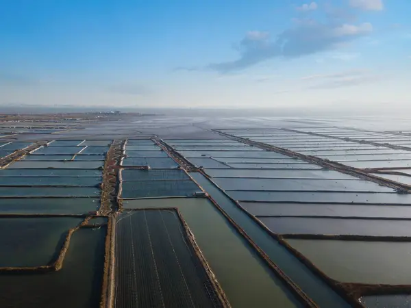 Stock image Aerial photography outdoor coastline sea cucumber farm