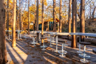 Park kulübeleri ve orman manzarası güneşin altında