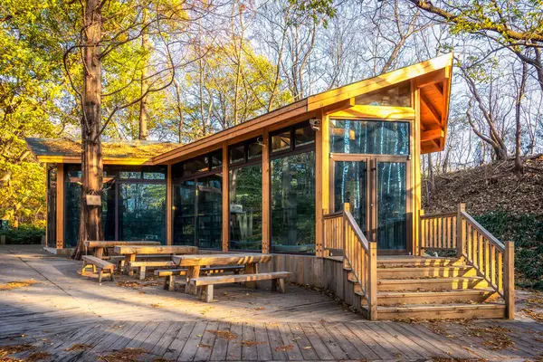 Park kulübeleri ve orman manzarası güneşin altında