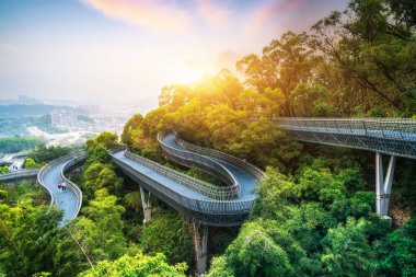 Fuzhou, Çin 'deki Orman İzleme Yolu