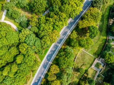 Açık orman yolunda hava fotoğrafçılığı
