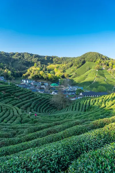 stock image Hangzhou West Lake Longjing Tea Mountain