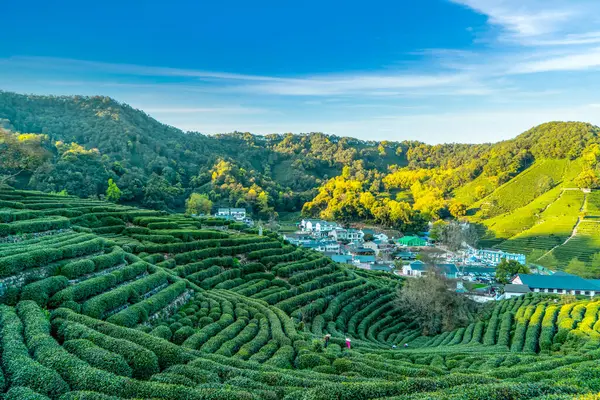 stock image Hangzhou West Lake Longjing Tea Mountain