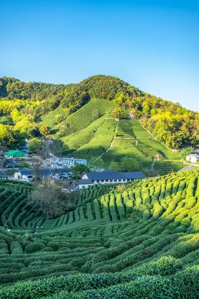 stock image Hangzhou West Lake Longjing Tea Mountain