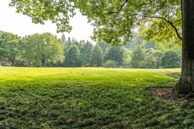 büyük kent park Panoraması