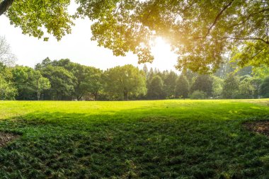 büyük kent park Panoraması