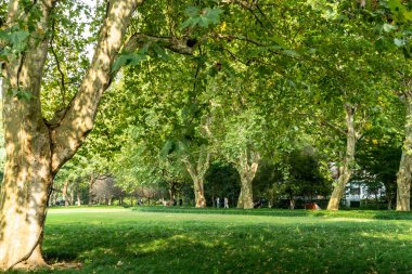 büyük kent park Panoraması