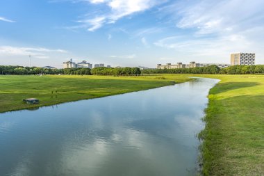 Şehir parkı çimenliği yeşil orman doğal manzara