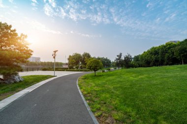 Parkta yol var, etrafta ağaç var.