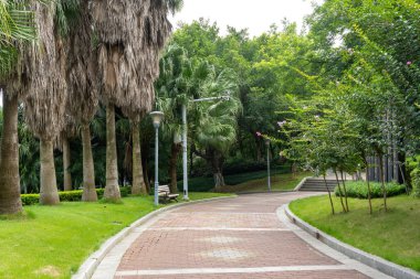 Park yeşil çevre sokak manzarası