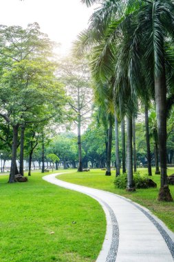 Park güneşi yeşil orman arka planı