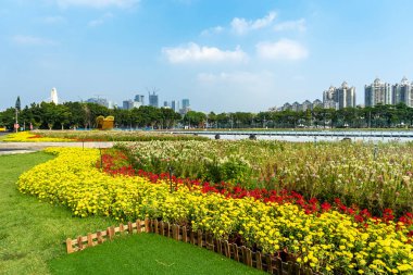 Çin kentsel modern mimari manzarası