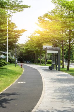 Şehir meydanı ve yolu 