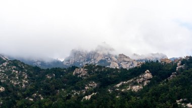 Qingdao 'daki Laoshan Dağı' nın güzel doğal manzarası.