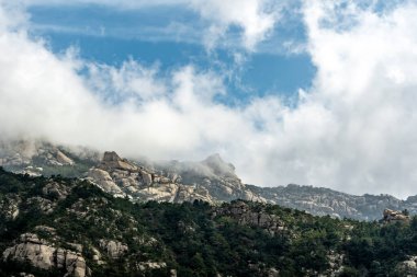 Qingdao 'daki Laoshan Dağı' nın güzel doğal manzarası.