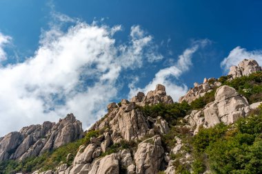 Qingdao 'daki Laoshan Dağı' nın güzel doğal manzarası.