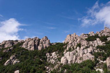 Qingdao 'daki Laoshan Dağı' nın güzel doğal manzarası.