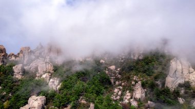 Qingdao 'daki Laoshan Dağı' nın güzel doğal manzarası.