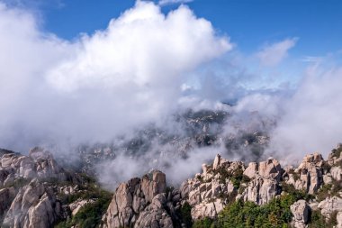 Qingdao 'daki Laoshan Dağı' nın güzel doğal manzarası.