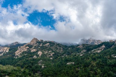 Qingdao 'daki Laoshan Dağı' nın güzel doğal manzarası.